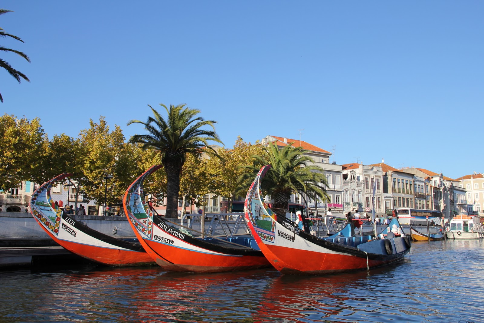 Aveiro, Costa Nova & Atlantic Coast Small Group Tour from Porto — small-group guided tour with Oporto Road Trips