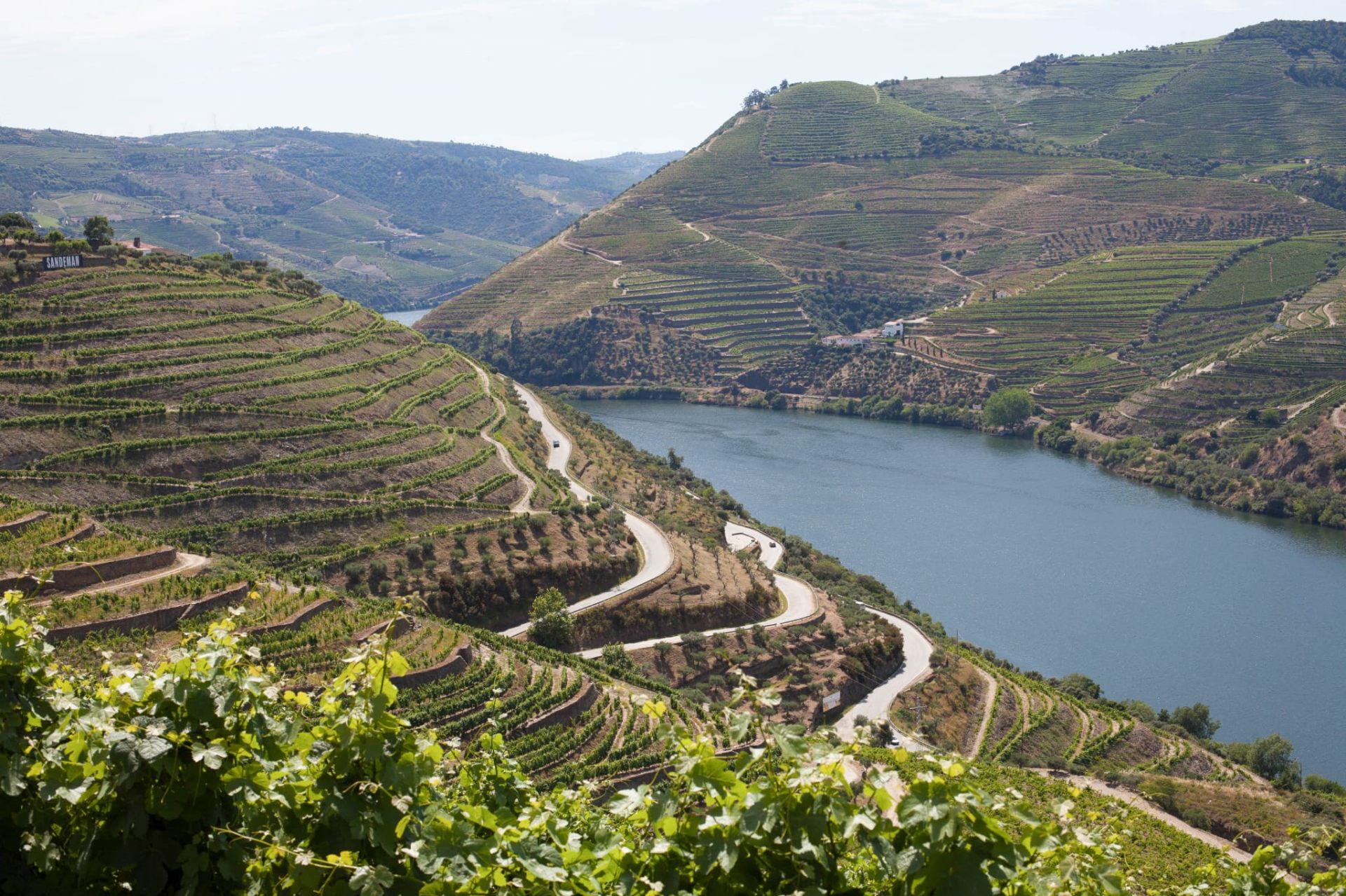 Private Douro Valley Tour – Boutique Winery & Scenic Experience from Porto — small-group guided tour with Oporto Road Trips
