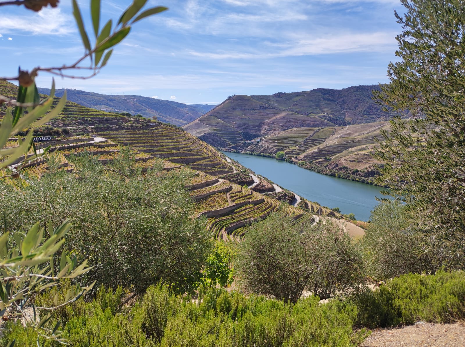 Private Douro Valley Wine Tour – 3 Wineries from Porto — small-group guided tour with Oporto Road Trips
