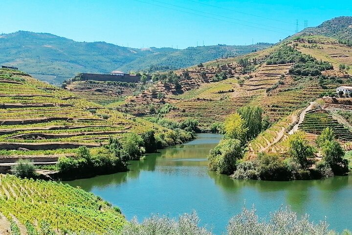a close up of a hillside next to a body of water with Douro in the background
