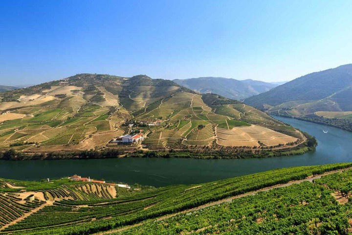 Douro Valley Tour - 3 Wineries and Lunch