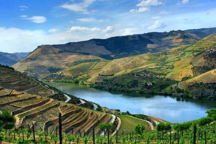 Douro Valley Tour - 3 Wineries and Lunch