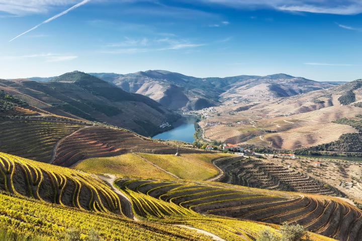 Douro Valley Tour - 3 Wineries and Lunch