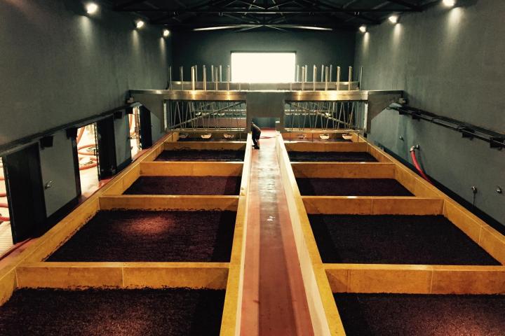 Douro Valley Tour - 3 Wineries and Lunch