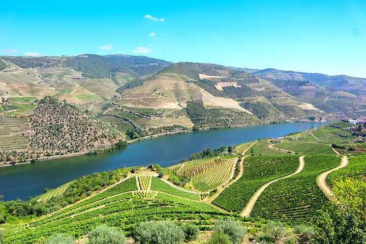 a large green field with Douro in the background