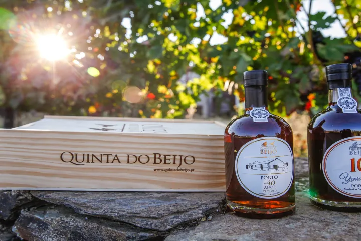 a close up of a sign