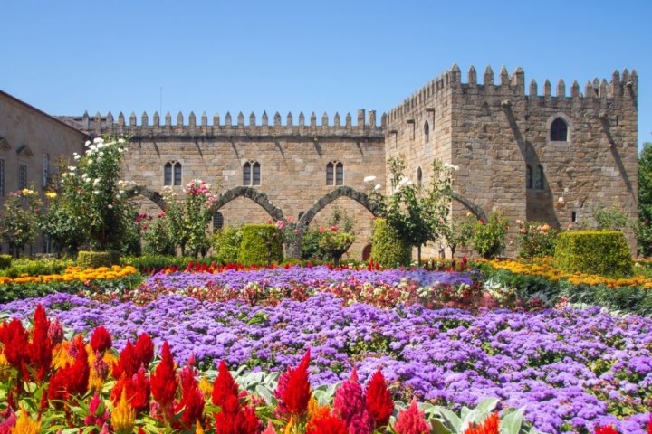 a close up of a flower garden in front of a brick building